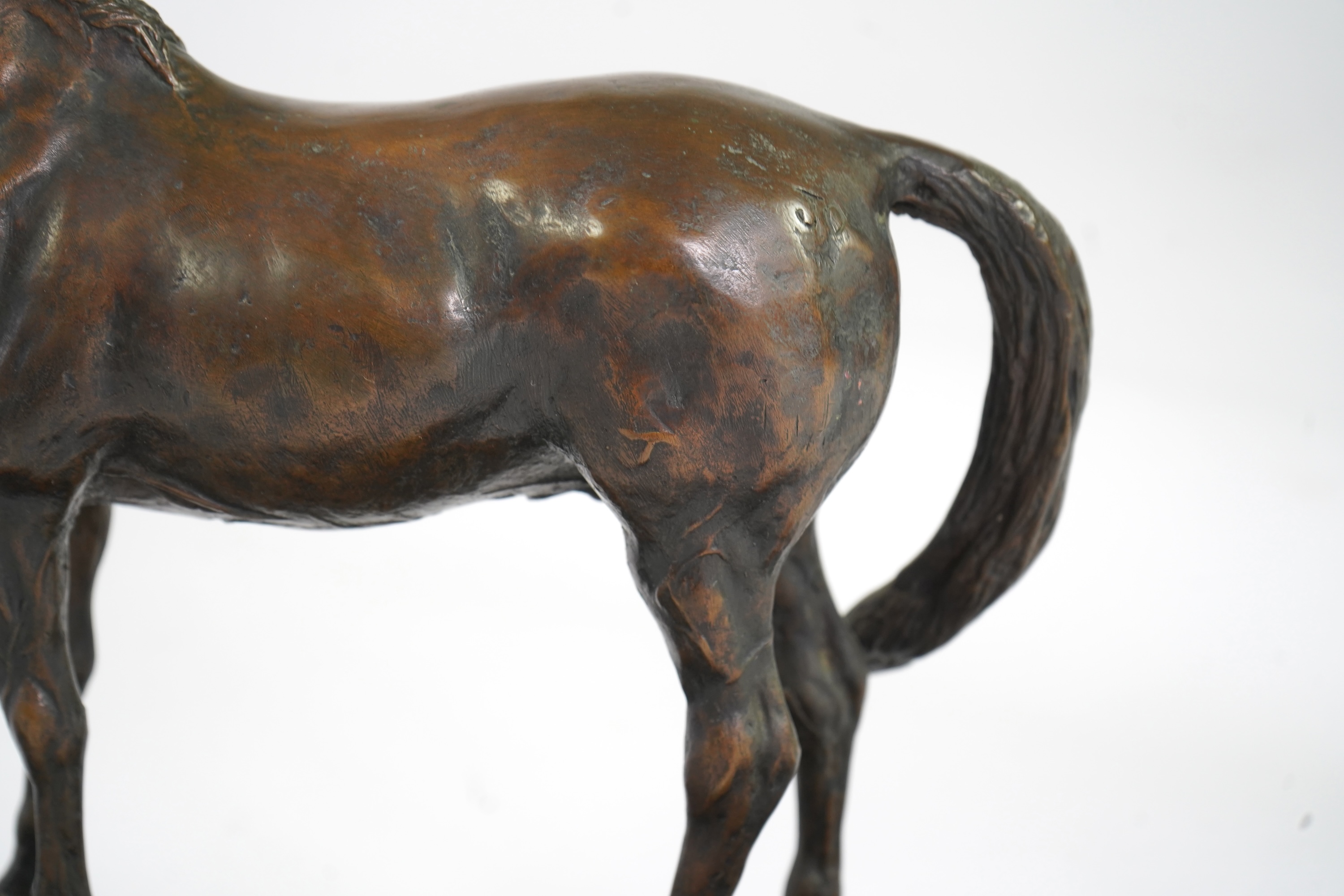 James Osborne (1940-1992), 'Cornish Duke'